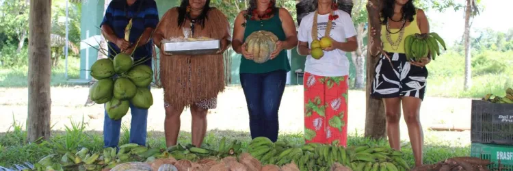Chocolat Festival terá programação especial para a agricultura familiar