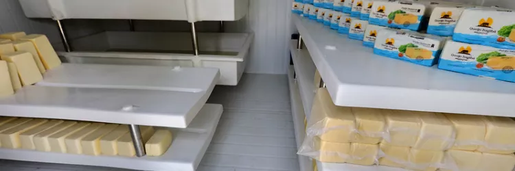 Encontro valoriza produção leiteira na Chapada Diamantina