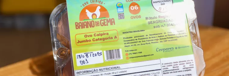 Cooperativa de Pintadas lança marca de ovos caipiras certificados da agricultura familiar 