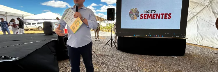 Projeto Sementes: Bahia dá largada em ação que vai beneficiar 14 mil famílias agricultoras