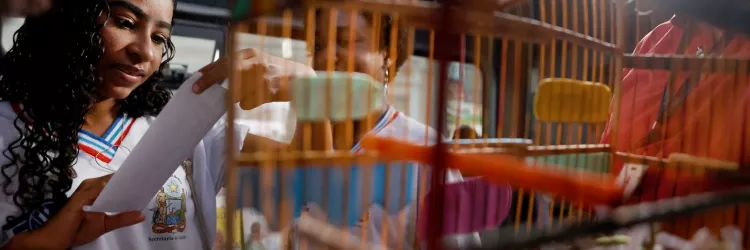 Governo do Estado fortalece acesso à cultura e à literatura na 9ª edição da Flipelô