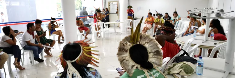 Educação Indígena