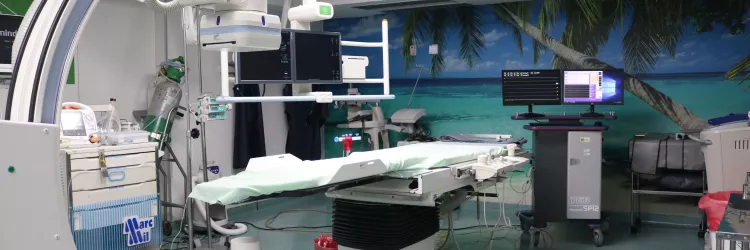 CPF na nota fiscal pode ser um ato de solidariedade