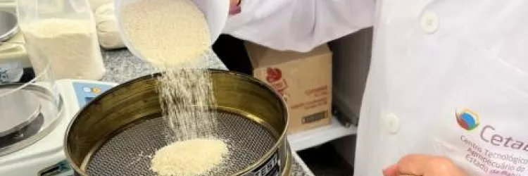 CETAB assegura qualidade da farinha de mandioca em meio à valorização do produto