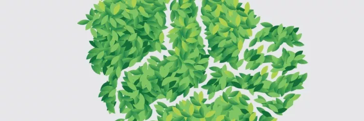 Revista Bahia Análise & Dados