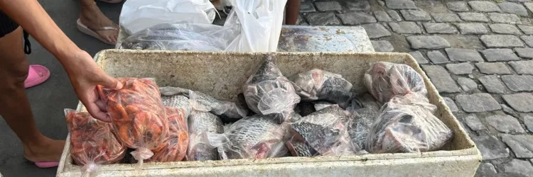 Estudo da Uesb aponta riscos de tilápias vendidas em feiras de Itapetinga