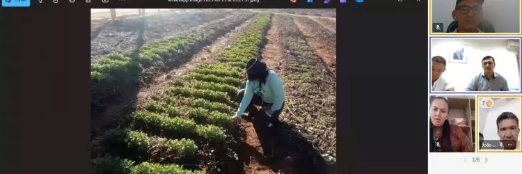 Estratégias para implantação de hortas comunitárias em 100 municípios baianos são debatidas em reunião virtual