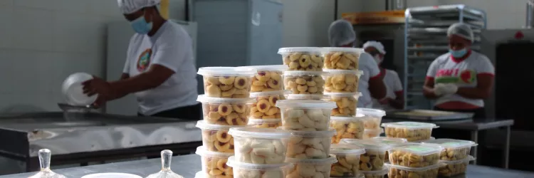 Mandiocultura vira renda e oportunidade para agricultoras familiares de Jequié