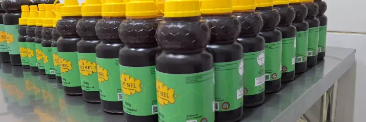 Certificação SIM agrega valor e impulsiona vendas de produtos de agroindústrias familiares da Bahia