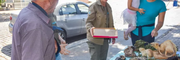 Igaporã mobiliza comunidade e devolve animais silvestres à natureza