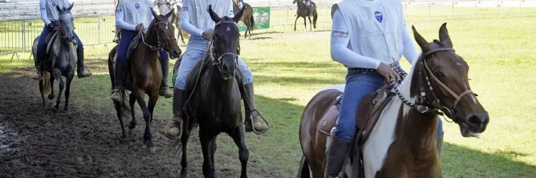  Exporural 2025 reforça papel estratégico da Bahia no setor agropecuário do Nordeste