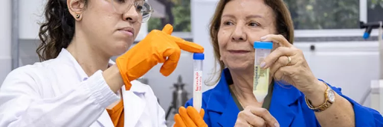 Jogo para regular o sono, óleo de tilápia, línguas indígenas e caatinga no Univerciência