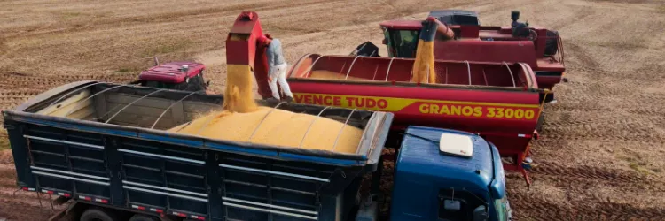 Estimativas positivas para a safra de grãos na Bahia refletem recorde de produção em soja e algodão