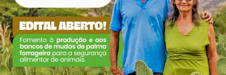Governo do Estado lança chamada pública para  produção e distribuição de mudas de palma forrageira