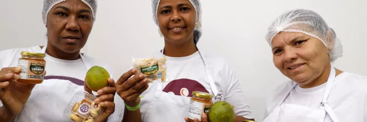 Rio Real recebe unidade de beneficiamento da citricultura do Governo do Estado e mira na exportação da laranja orgânica