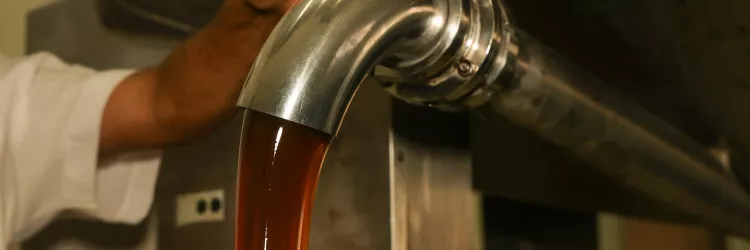 Unidade de beneficiamento de produtos de abelhas eleva produção de méis do Semiárido Baiano