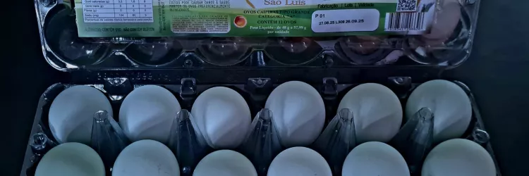 Governo da Bahia entrega primeiras certificações do SUSAF/BA e abre novos mercados para a agricultura familiar