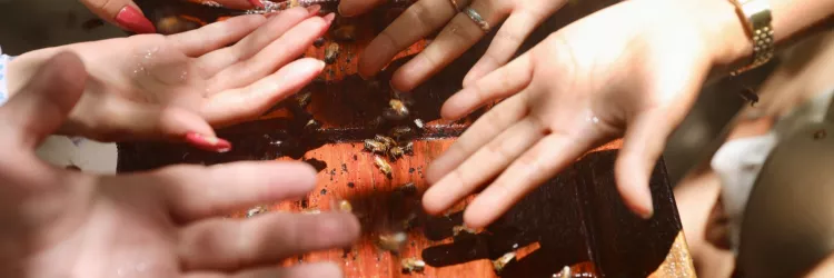 Inscrições abertas para o 4º Encontro Franco-Brasileiro de Turismo Sustentável em Salvador