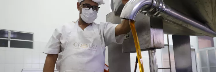 Mel produzido pela agricultura familiar fortalece a alimentação escolar no Semiárido Baiano