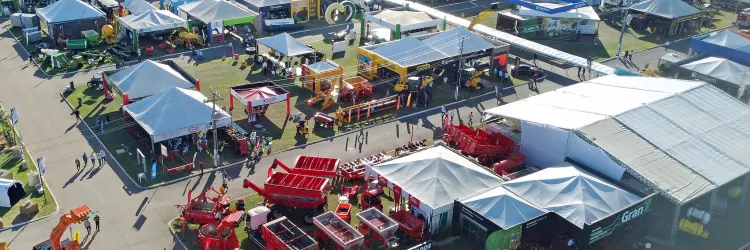 Agronegócio responde por 29,6% da economia baiana no segundo trimestre de 2025