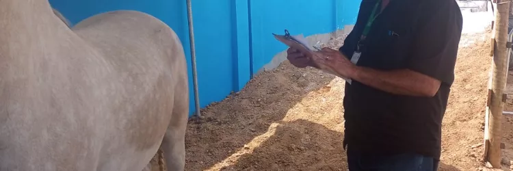 Adab intensifica fiscalização em parques de vaquejada