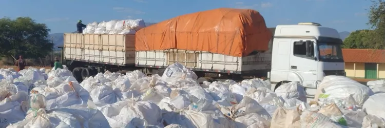 Com maior conscientização, produtores dão a destinação correta a embalagens de agrotóxicos