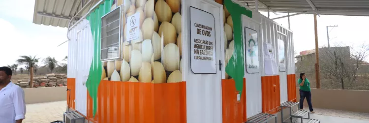 Agricultura familiar da Bahia ganha primeira unidade de classificação de ovos em container