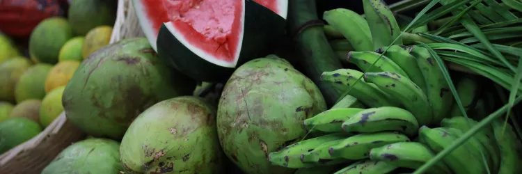 Segurança alimentar e nutricional