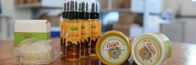 Bahia que Produz e Alimenta impulsiona cadeia do licuri em Monte Santo