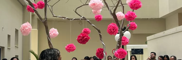 Hospital Regional da Chapada 