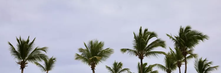 Após semana de chuvas intensas, tempo volta a ficar firme na Bahia