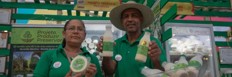 2º Festival do Queijo Artesanal promove experiência multissensorial e troca de conhecimentos sobre produção de queijos