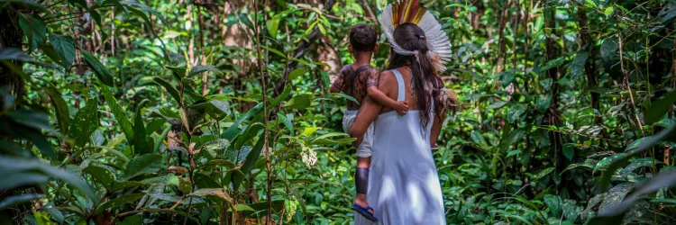 Publicação da UNESCO destaca contribuição da Bahia em livro trilíngue sobre saberes indígenas