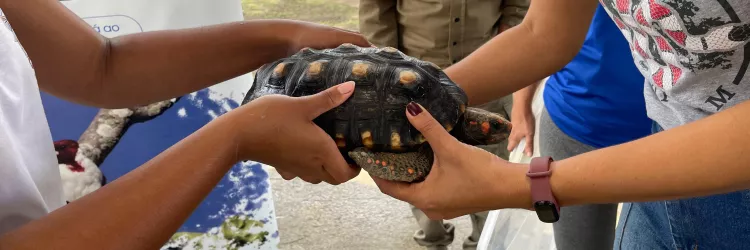 ”Animal silvestre não é pet”: campanha em Amargosa inspira novos olhares sobre a natureza