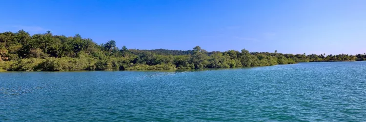 Riqueza da vida marinha revela a força dos mares da Bahia