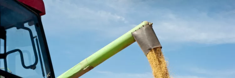 Produtores agrícolas