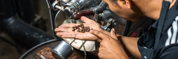 Bahia estrutura cadeia produtiva do café para conquistar mercados internacionais