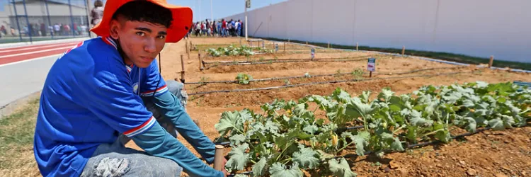Hortas Comunitárias