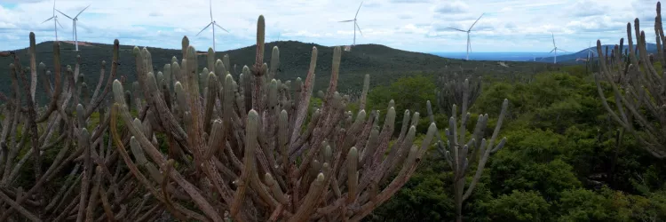 Planos Territoriais de Desenvolvimento Sustentável