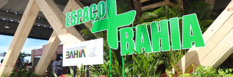 Pavilhão do Governo da Bahia movimentará a Fenagro 2025 com inovação, sustentabilidade e serviços à população