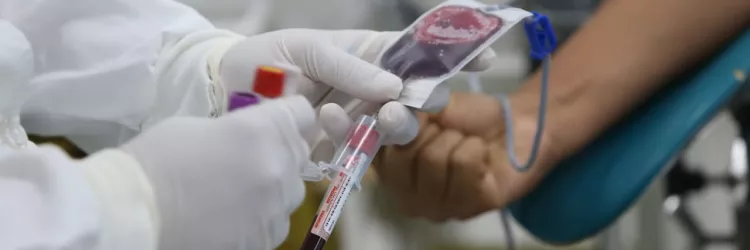 Semana do Doador de Sangue