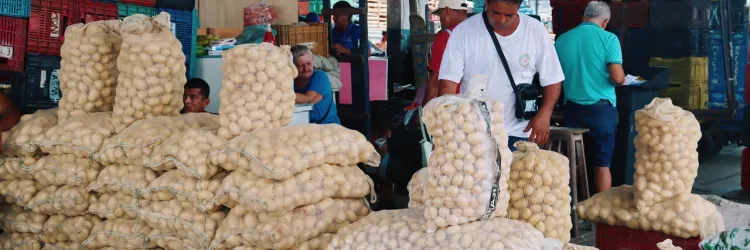 Feriado Mercados Municipais