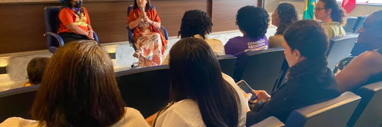 Diálogo e construção coletiva marcam a 16ª Reunião do Conselho Estadual de Defesa dos Direitos da Mulher
