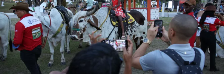 Fenagro 2025 é aberta em Salvador com expectativa de 200 mil visitantes, até domingo (7)