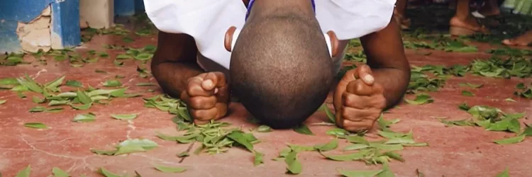 ‘Encanto das Folhas: Patrimônio Sagrado do Recôncavo’ 