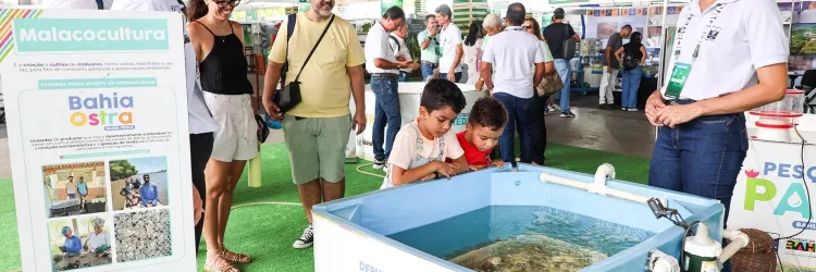 Fenagro 2025 encanta público de todas as idades no primeiro dia da programação