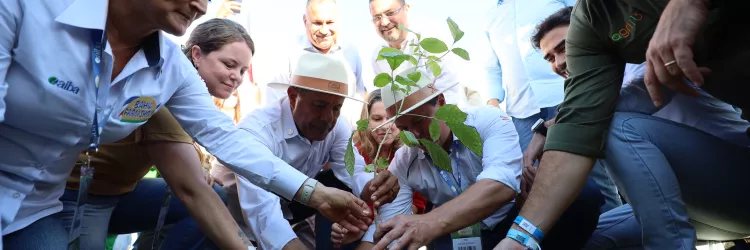  Seagri e ABAF assinam convênio de arborização urbana com espécies nativas em 12 municípios