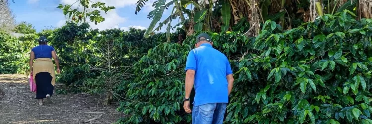Governo do Estado impulsiona cadeia produtiva do café em Nova Canaã com novos equipamentos e infraestrutura