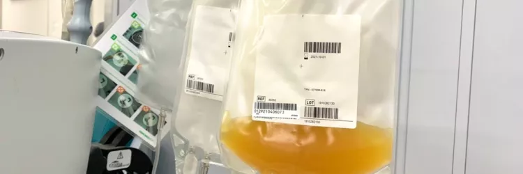 Hemoba promove campanha para ampliar doações de plaquetas