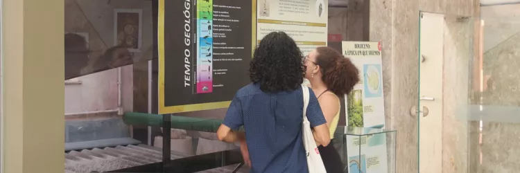 Férias no Museu: MGB abrirá às 10 horas durante o mês de janeiro